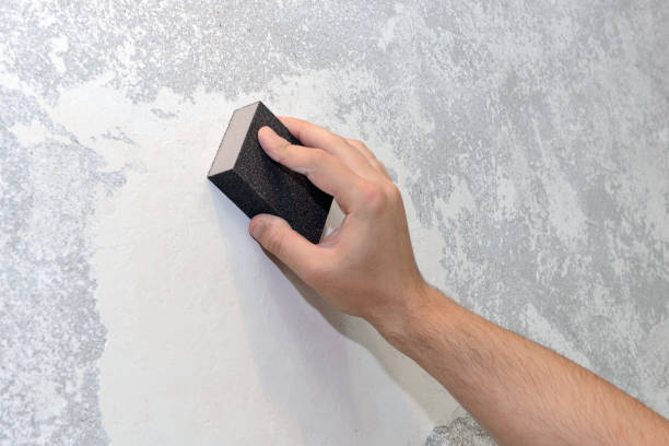 Best Attic Mold Removal  in Goodview, MN