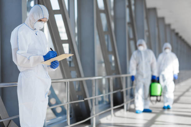 Best Mold Damage Restoration  in Goodview, MN