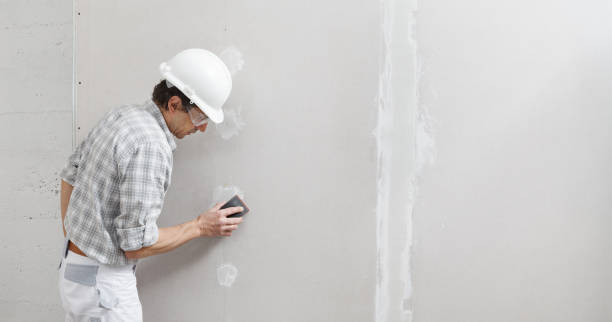 Best Mold Documentation for Insurance Claims  in Goodview, MN