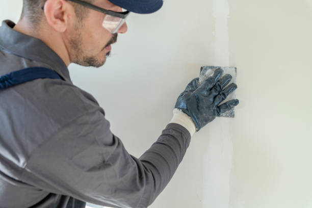 Best Mold-Related Health Consultation  in Goodview, MN