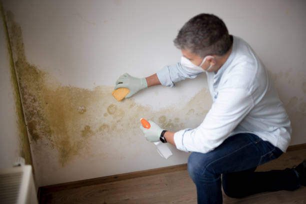 Best Dehumidification Services  in Goodview, MN