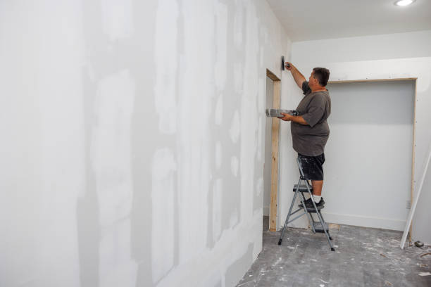 Best Asbestos and Lead Testing During Mold Inspection  in Goodview, MN