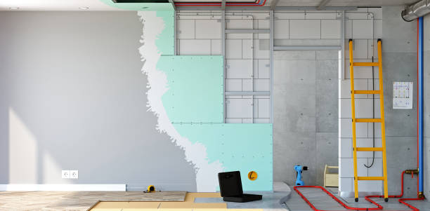 Best Real Estate Mold Inspection  in Goodview, MN